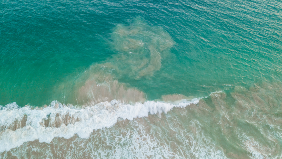 Salty Spirit: Rip Current