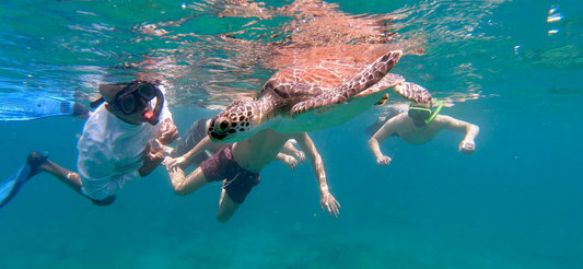 Shared Snorkeling